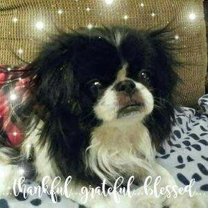 Meet your Posher, Vicki